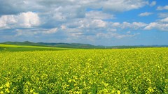 Landscapes nature clouds