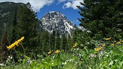 Landscapes nature clouds