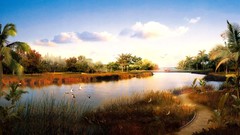 Landscapes nature clouds Birds palm trees