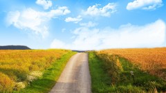 Landscapes nature clouds campaign fields