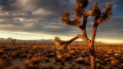 Landscapes nature clouds deserts