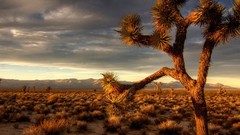 Landscapes nature clouds deserts