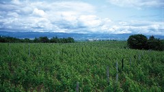 Landscapes nature clouds fields