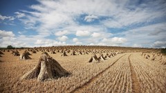 Landscapes nature clouds fields