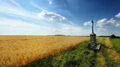 Landscapes nature clouds fields skylines