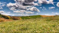 Landscapes nature clouds fields skyscapes