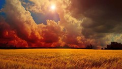 Landscapes nature clouds fields sunray