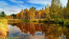 Landscapes nature clouds forests