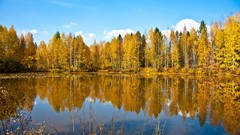 Landscapes nature clouds forests