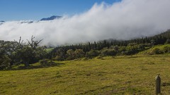 Landscapes nature clouds forests