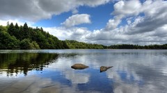 Landscapes nature clouds forests