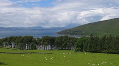 Landscapes nature clouds forests