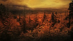 Landscapes nature clouds forests