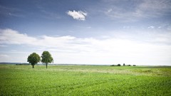 Landscapes nature clouds germany fields