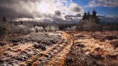 Landscapes nature clouds highlands forests