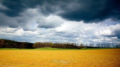 Landscapes nature clouds land fields forests skyscapes