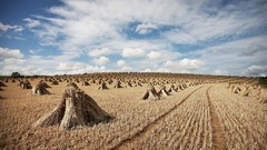 Landscapes nature clouds land fields skyscapes