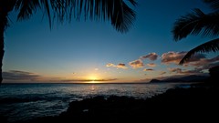 Landscapes nature clouds palm trees Beaches