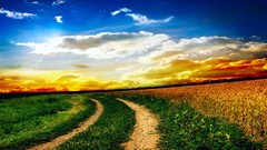 Landscapes nature clouds paths fields HDR Photography skyscapes