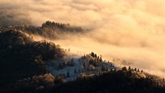 Landscapes nature clouds romania forests