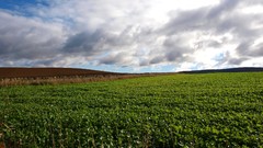 Landscapes nature clouds Scotland fields HDR Photography