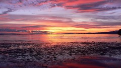 Landscapes nature clouds skies