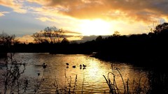 Landscapes nature clouds skies