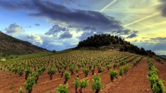 Landscapes nature clouds skylines