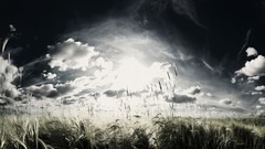 Landscapes nature clouds skyscapes