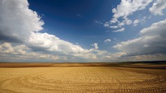 Landscapes nature clouds wheat fields skyscapes