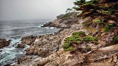 Landscapes nature coast