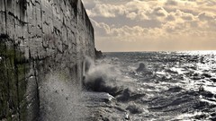 Landscapes nature coast