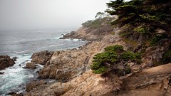 Landscapes nature coast