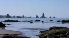 Landscapes nature coast