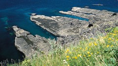 Landscapes nature coast