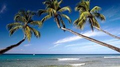 Landscapes nature coast Beaches West