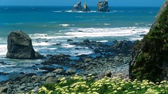 Landscapes nature coast California national park