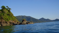 Landscapes nature coast forests