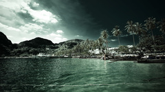 Landscapes nature coast palm