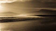 Landscapes nature coast sepia Beaches