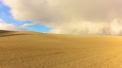 Landscapes nature corn fields golden