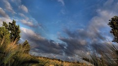 Landscapes nature crops