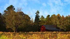 Landscapes nature crops barn