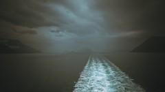 Landscapes nature dark water