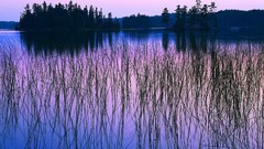 Landscapes nature dawn Canada