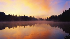 Landscapes nature dawn mist