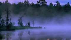 Landscapes nature dawn sweden