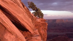 Landscapes nature dead point Utah