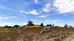 Landscapes nature deserts