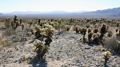 Landscapes nature deserts